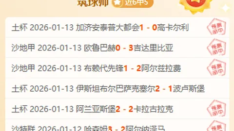 荷蘭足球巨頭費耶諾德：荷甲之冠，歐洲足壇的驚世之作！